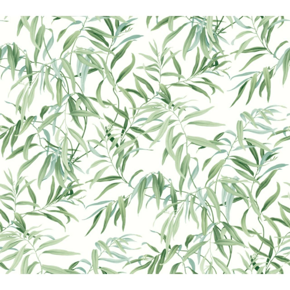 York GO8241 Greenhouse Willow Grove Forest Wallpaper in Green