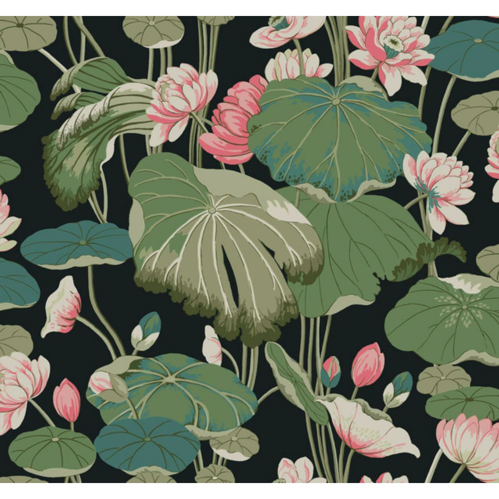 York GO8292 Greenhouse Lotus Pond Midnight/Flamingo Wallpaper in Black, Pink
