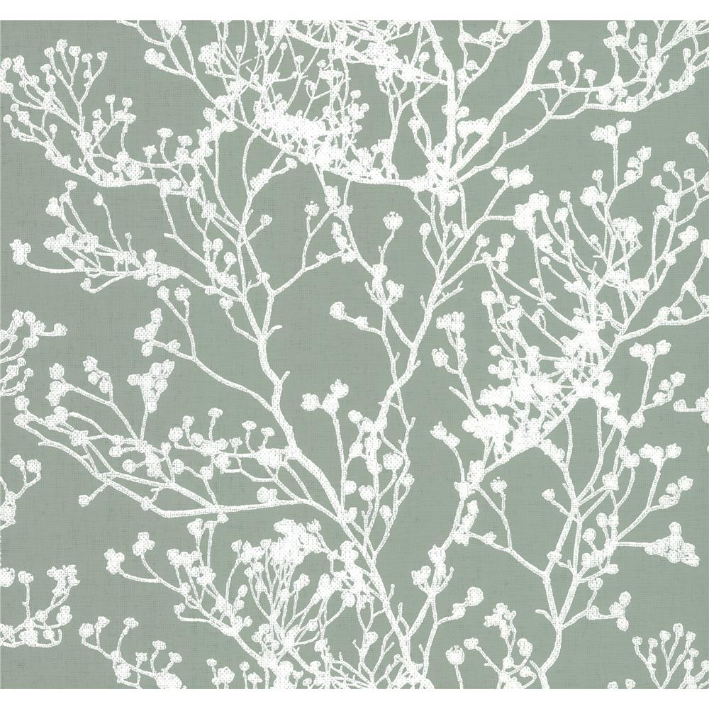 York Designer Series HC7519 Handcrafted Naturals Budding Branch Silhouette Wallpaper in Green