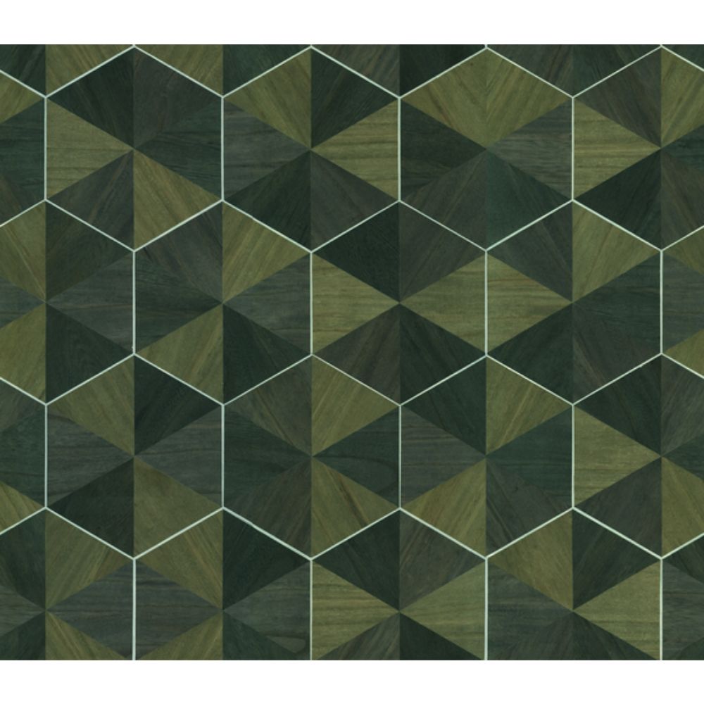 Ronald Redding by York Designer Series HO2103 Traveler Hexagram Wood Veneer Wallpaper in Brown/Black