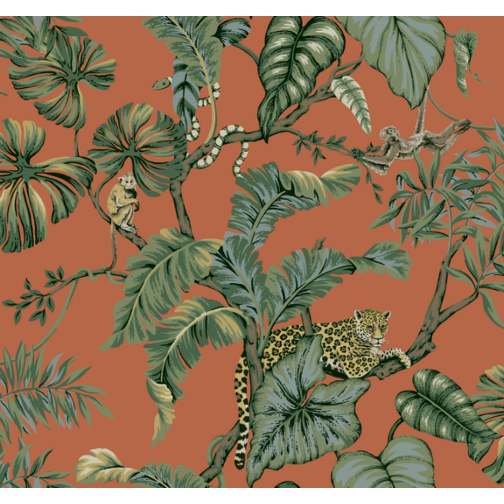 Ronald Redding by York Designer Series HO2142 Traveler Jungle Cat Wallpaper in Orange