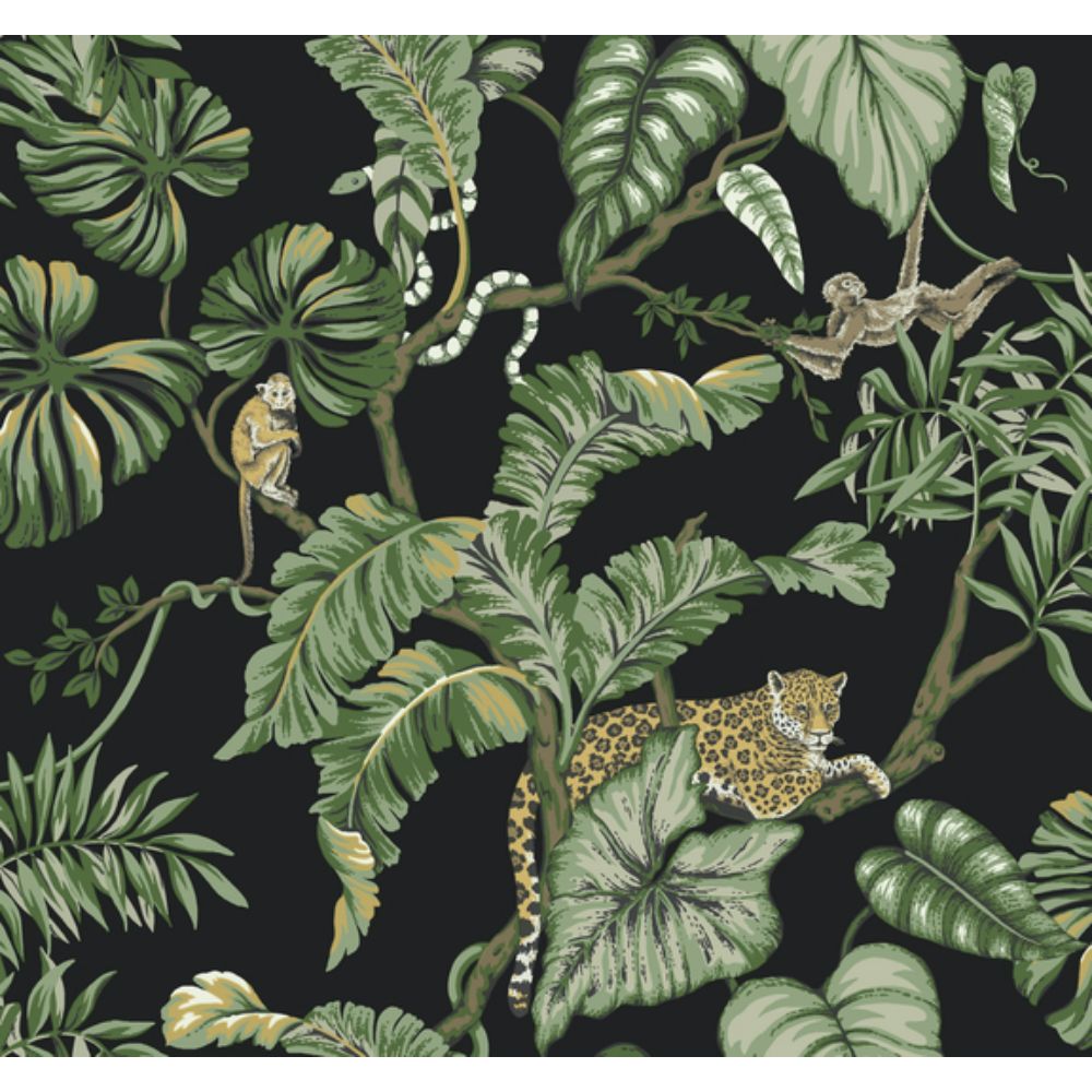 Ronald Redding by York Designer Series HO2143 Traveler Jungle Cat Wallpaper in Black