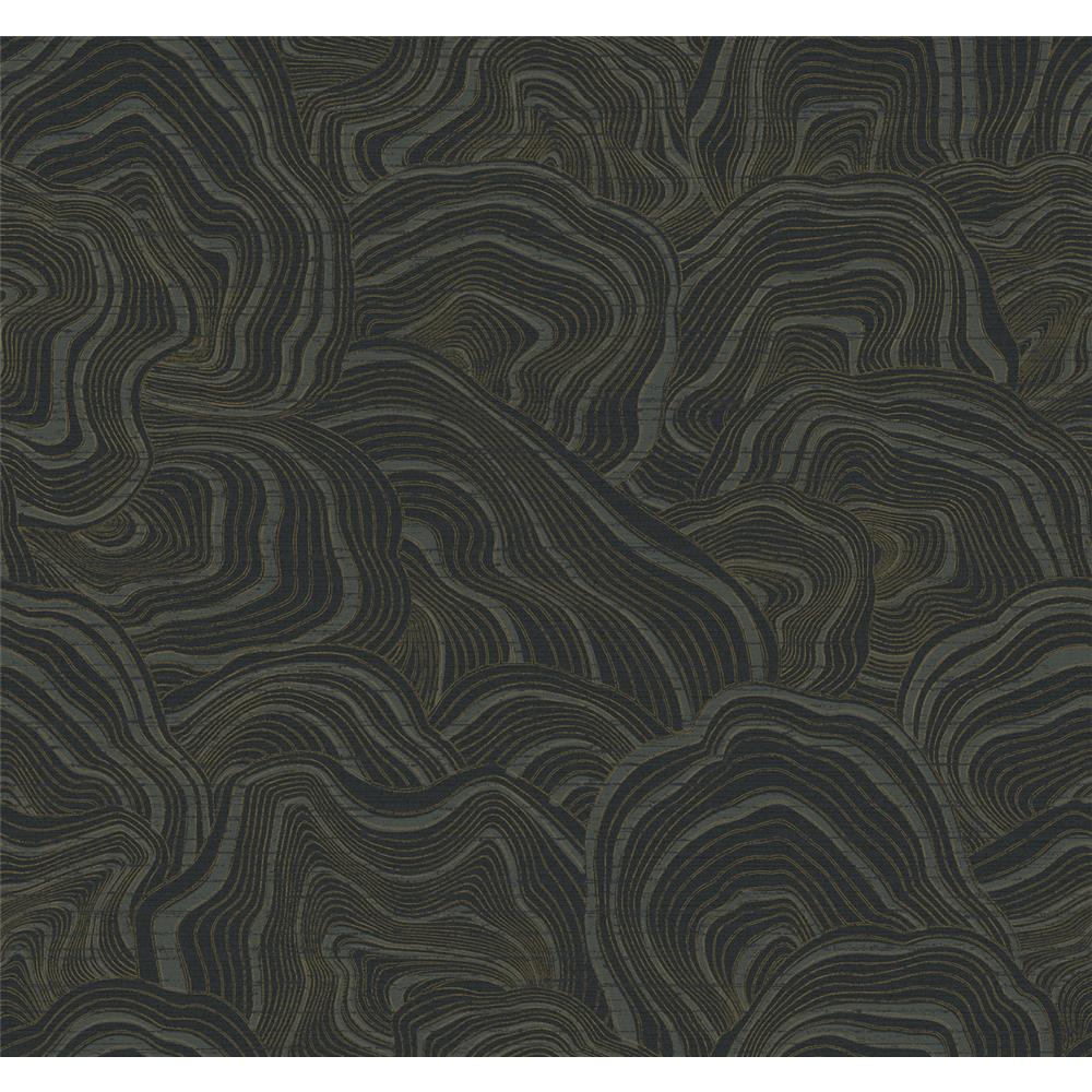 Ronald Redding Designs by York KT2162 Geodes Wallpaper in Black