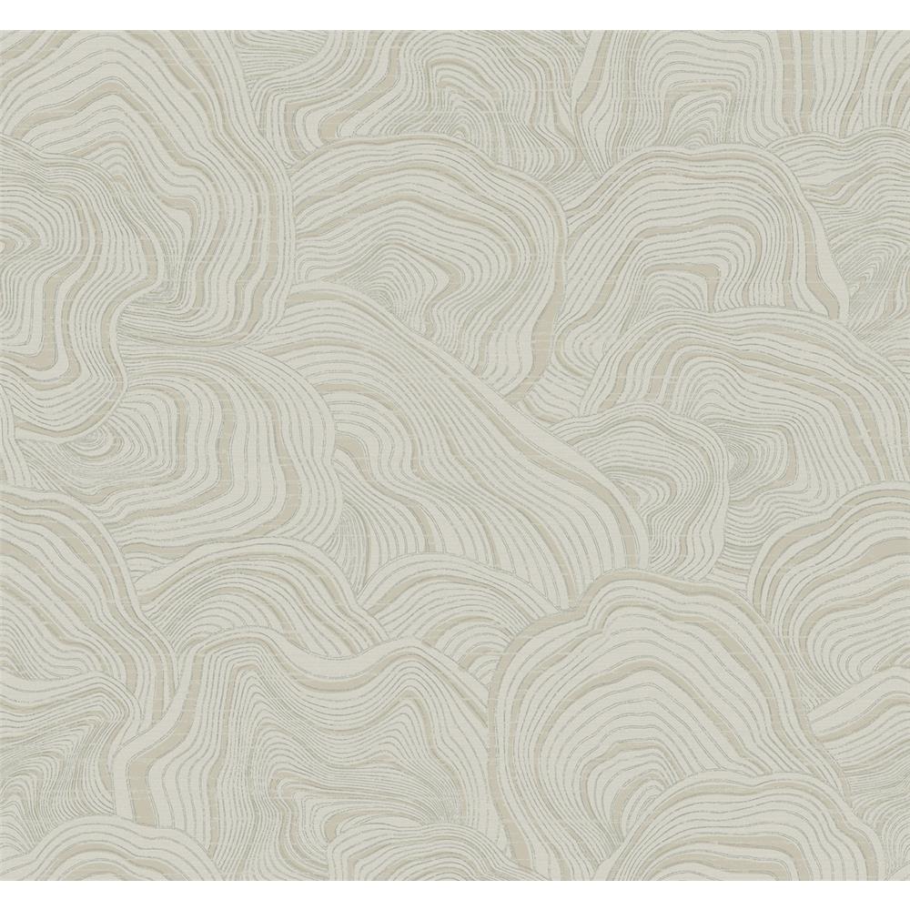Ronald Redding Designs by York KT2164 Geodes Wallpaper in Taupe