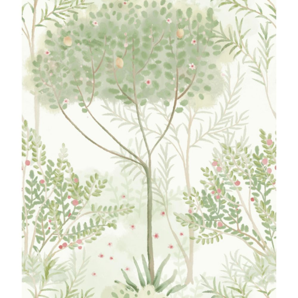 York MN1822 Mediterranean Orchard Wallpaper in White/Green