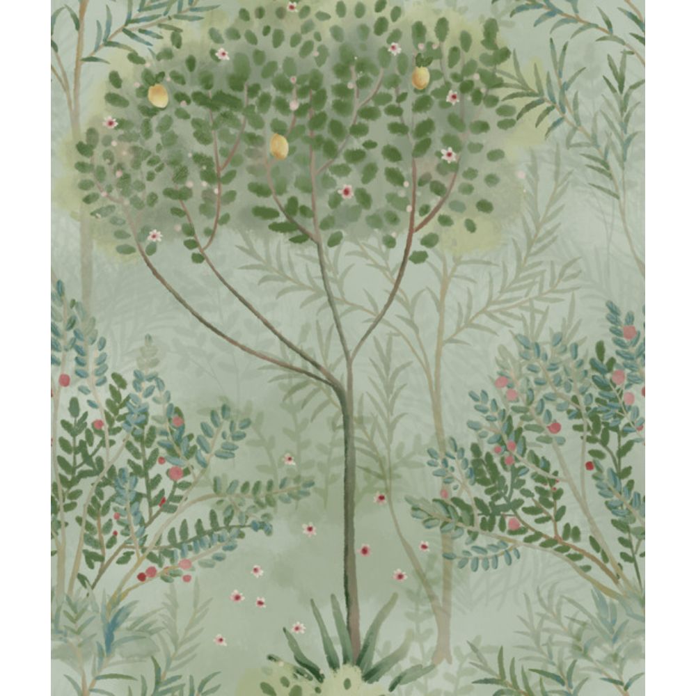 York MN1823 Mediterranean Orchard Wallpaper in Green