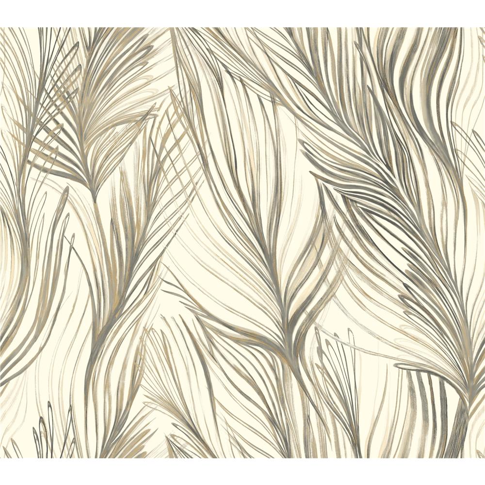 Candice Olson by York NA0503 Peaceful Plume Wallpaper in Dark Grey