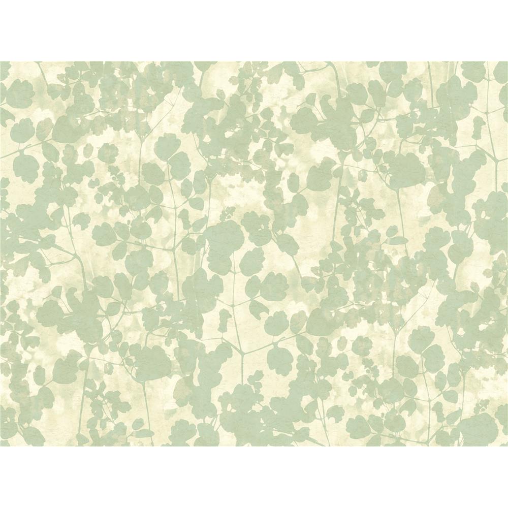 Candice Olson by York NA0517 Pressed Leaves Wallpaper in Green