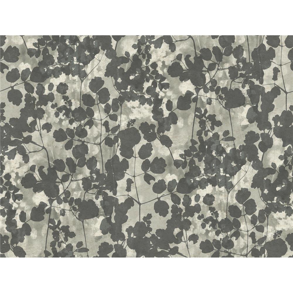 Candice Olson by York NA0521 Pressed Leaves Wallpaper in Dark Grey