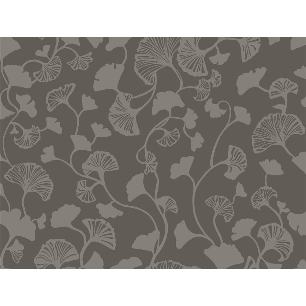 Candice Olson by York NA0575 Gingko Trail Wallpaper in Black