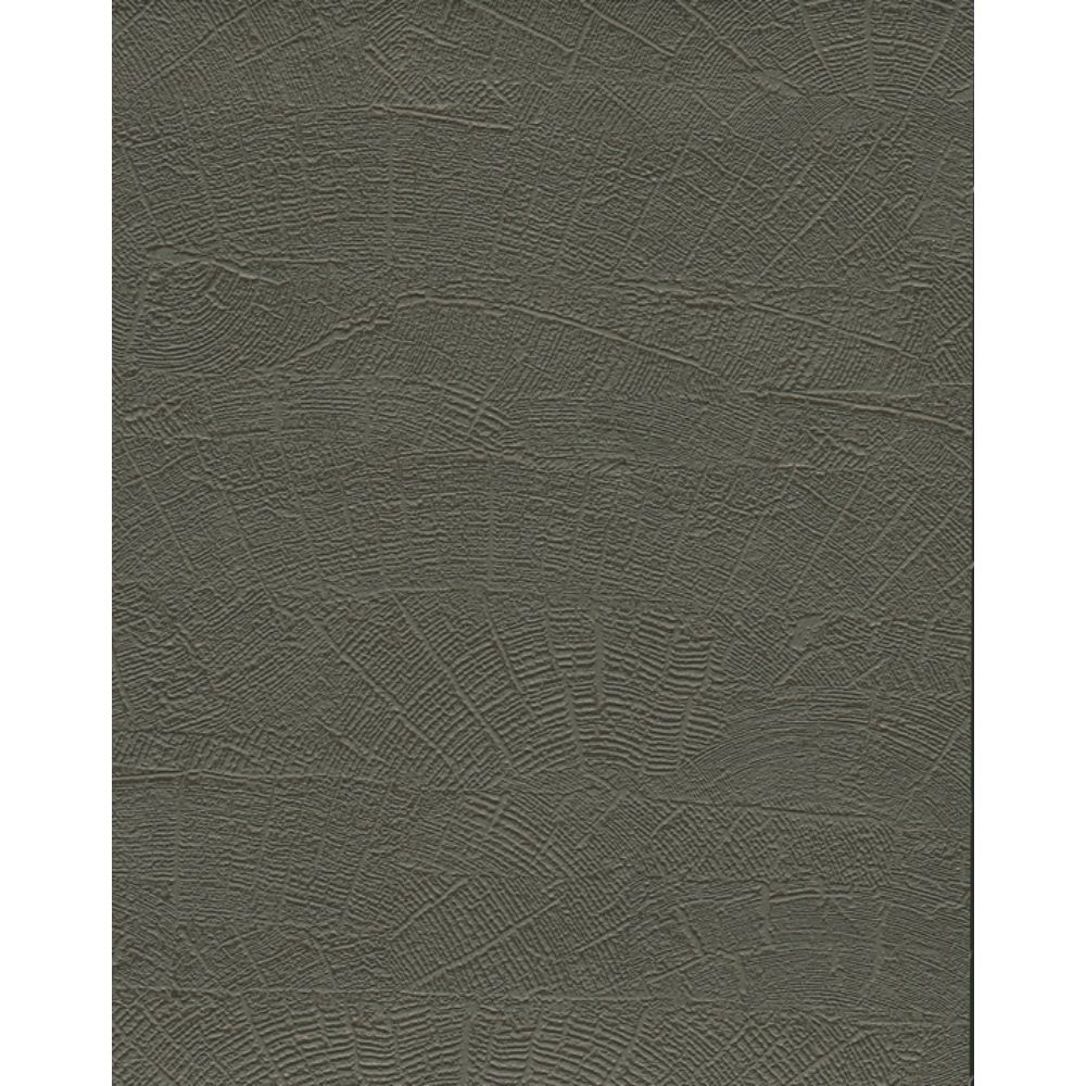 York ND3064N Natural Digest Grey & Brown On Deck Wallpaper