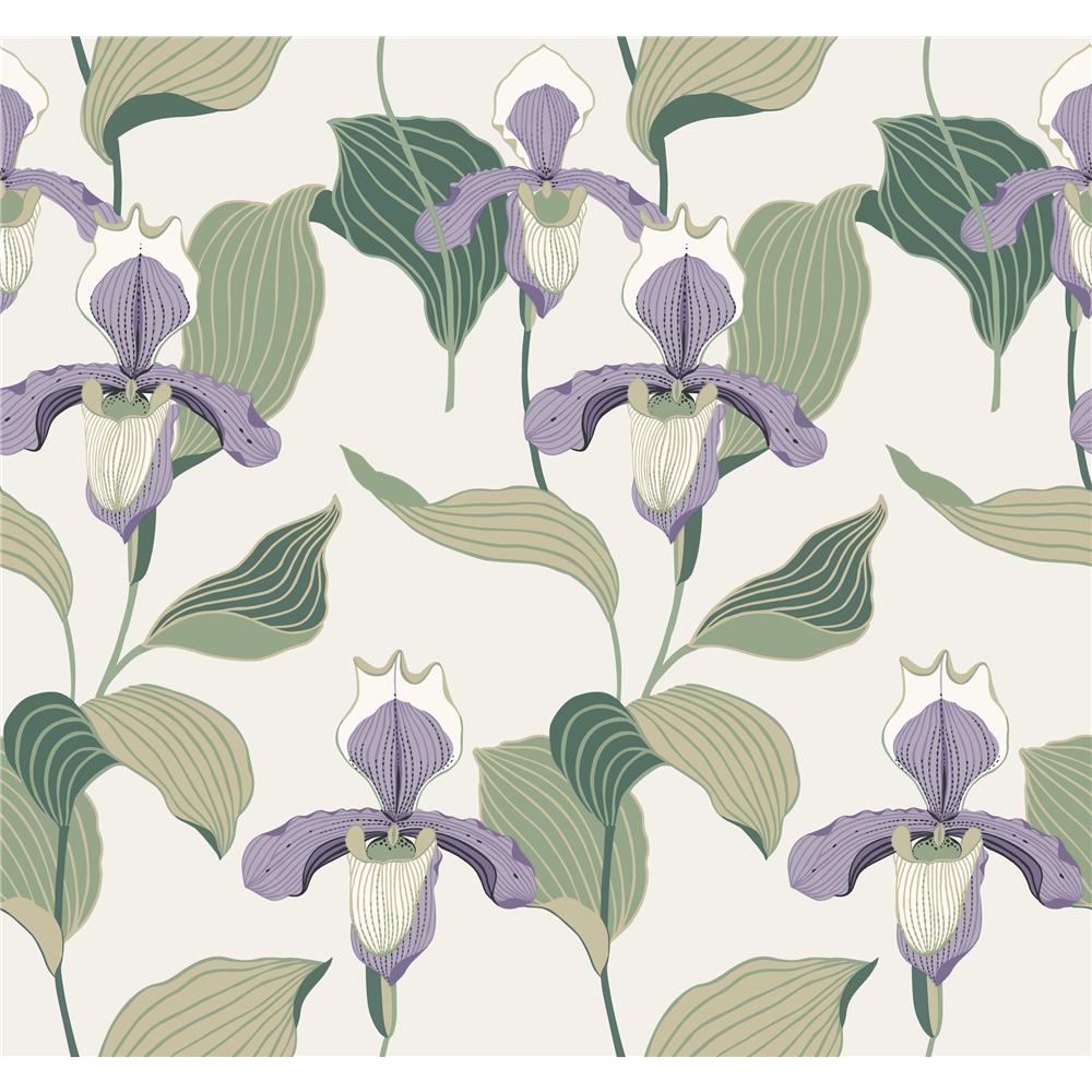York NV5528 Modern Heritage 125th Anniversary  Lady Slipper Wallpaper in Lavender/Green