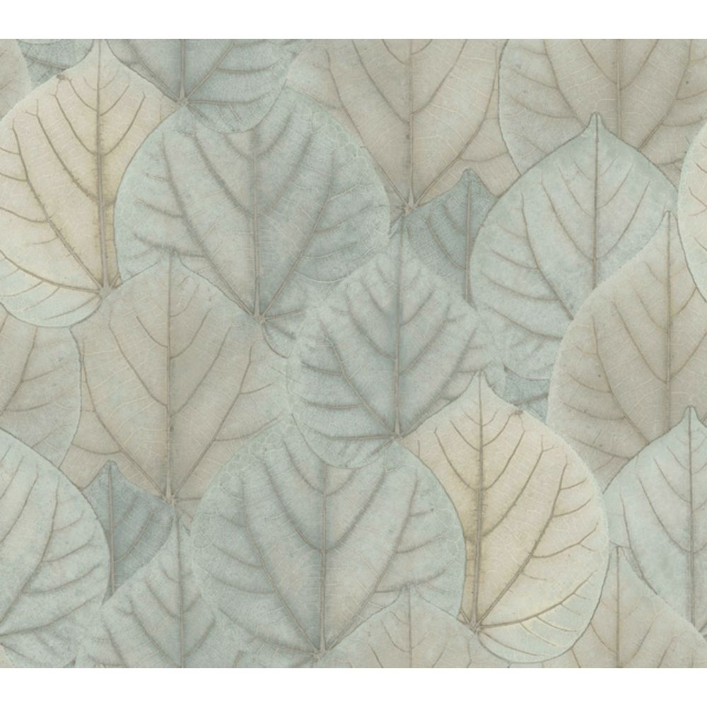 York Designer Series OS4244 Modern Nature 2nd Edition Leaf Concerto Wallpaper in Blue/Taupe