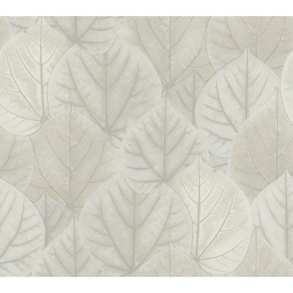 York Designer Series OS4246 Modern Nature 2nd Edition Leaf Concerto Wallpaper in Gray