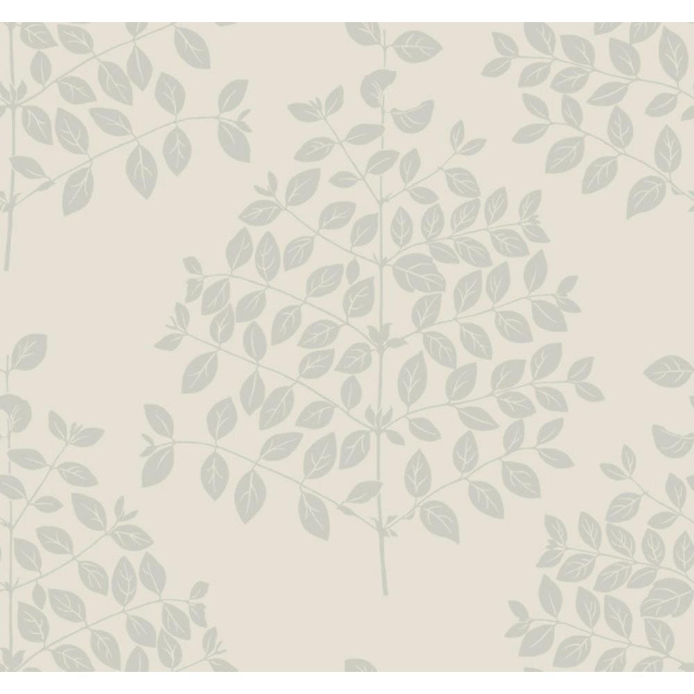 York Designer Series OS4251 Modern Nature 2nd Edition Tender Wallpaper in Cream/Silver