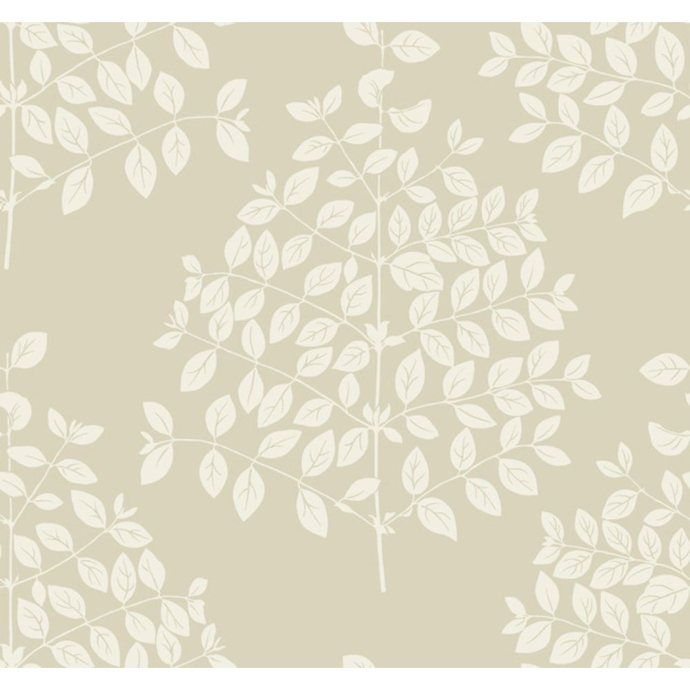 York Designer Series OS4253 Modern Nature 2nd Edition Tender Wallpaper in Pearl Taupe