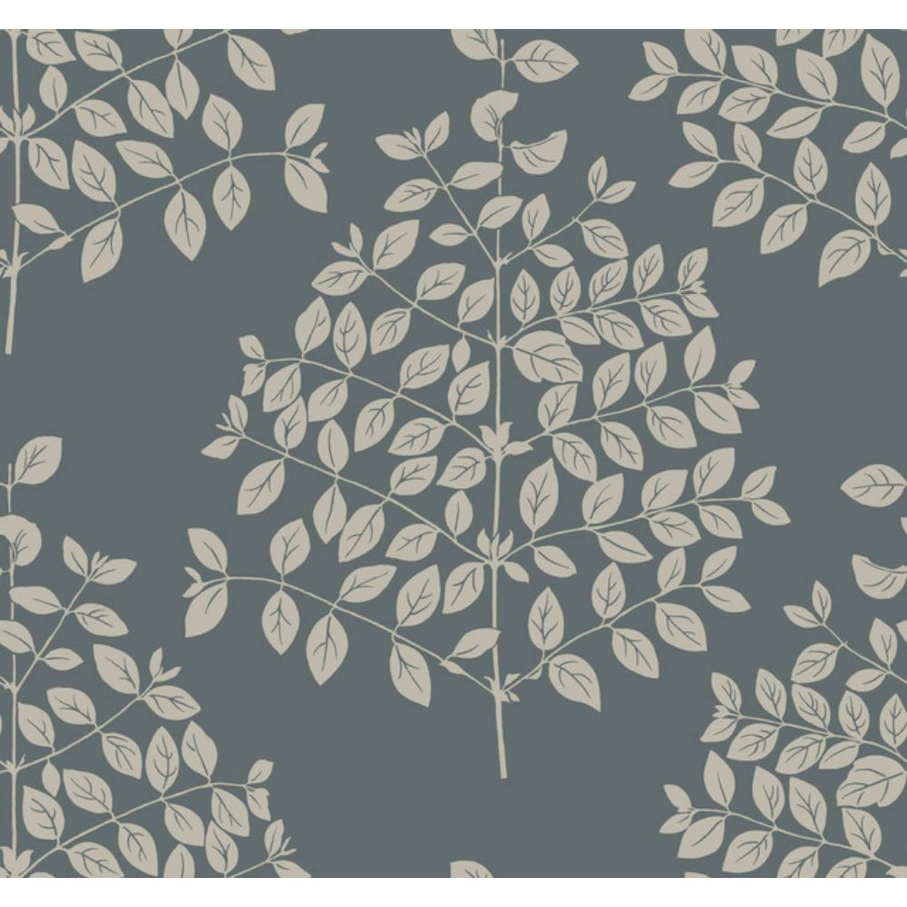 York Designer Series OS4255 Modern Nature 2nd Edition Tender Wallpaper in Dark Gray