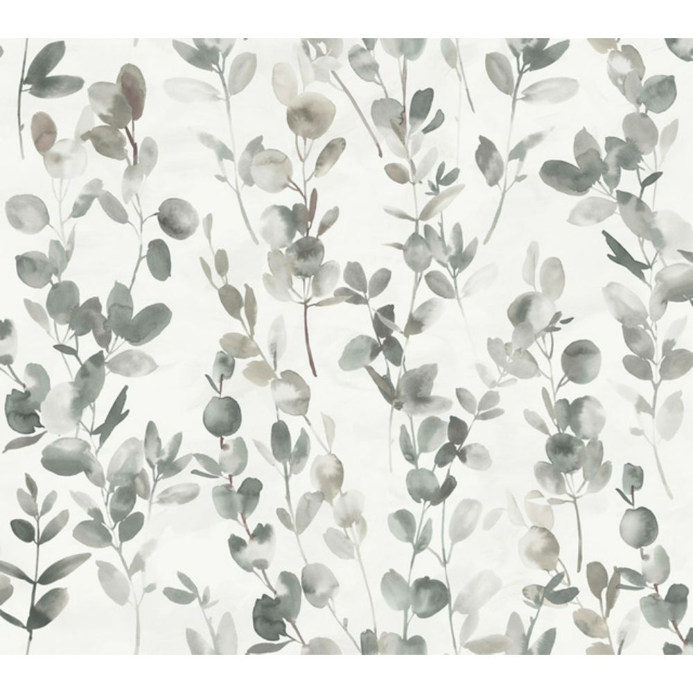 York Designer Series OS4315 Modern Nature 2nd Edition Joyful Eucalyptus Wallpaper in Gray/Taupe