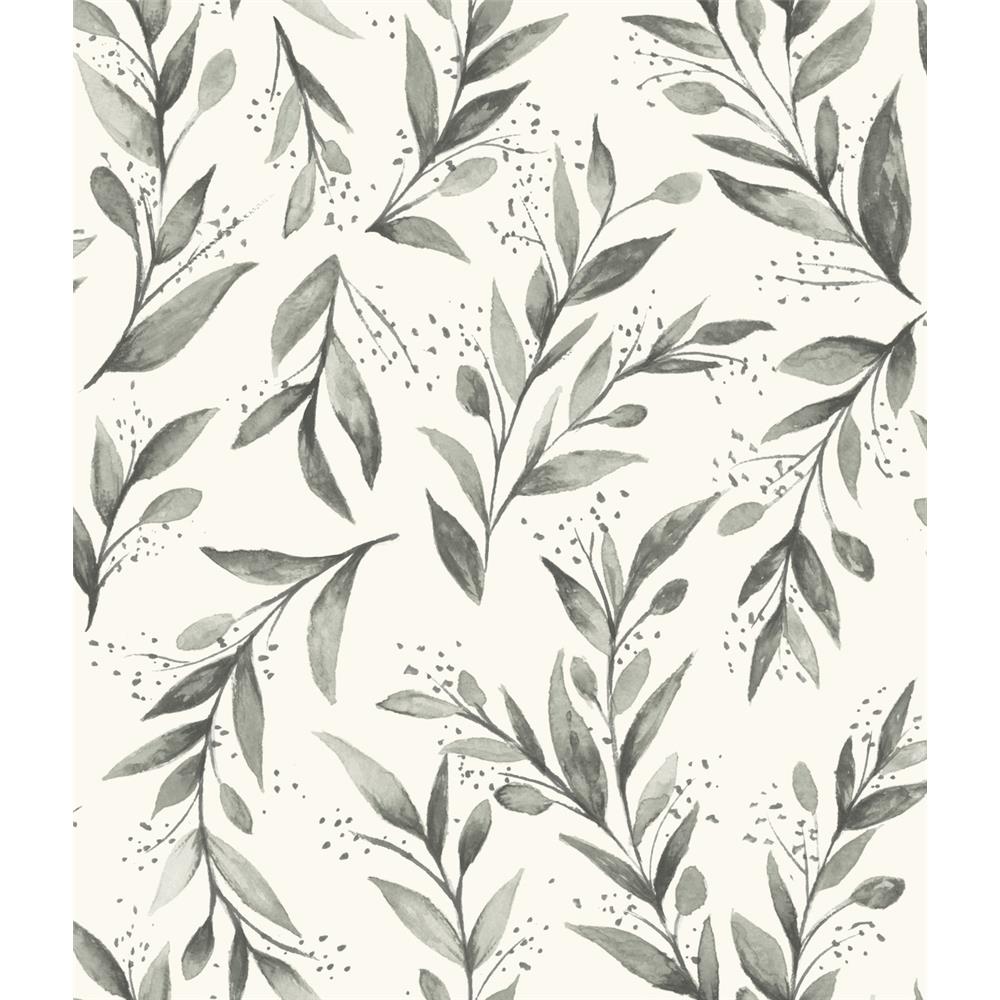 York PSW1003RL Magnolia Home Peel & Stick  Magnolia Home Olive Branch Peel and Stick Wallpaper in Charcoal