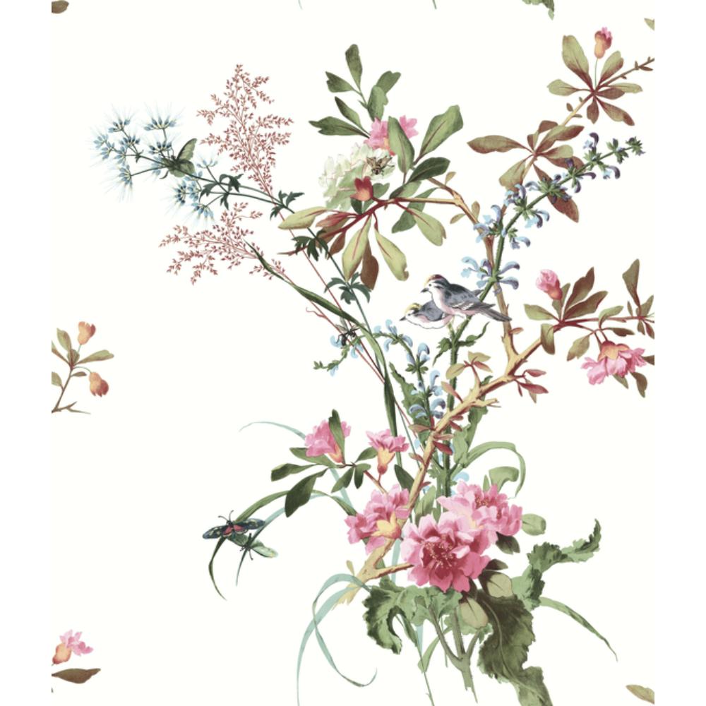 York PSW1366RL Vintage Florals Wild Flowers Wallpaper in Rose