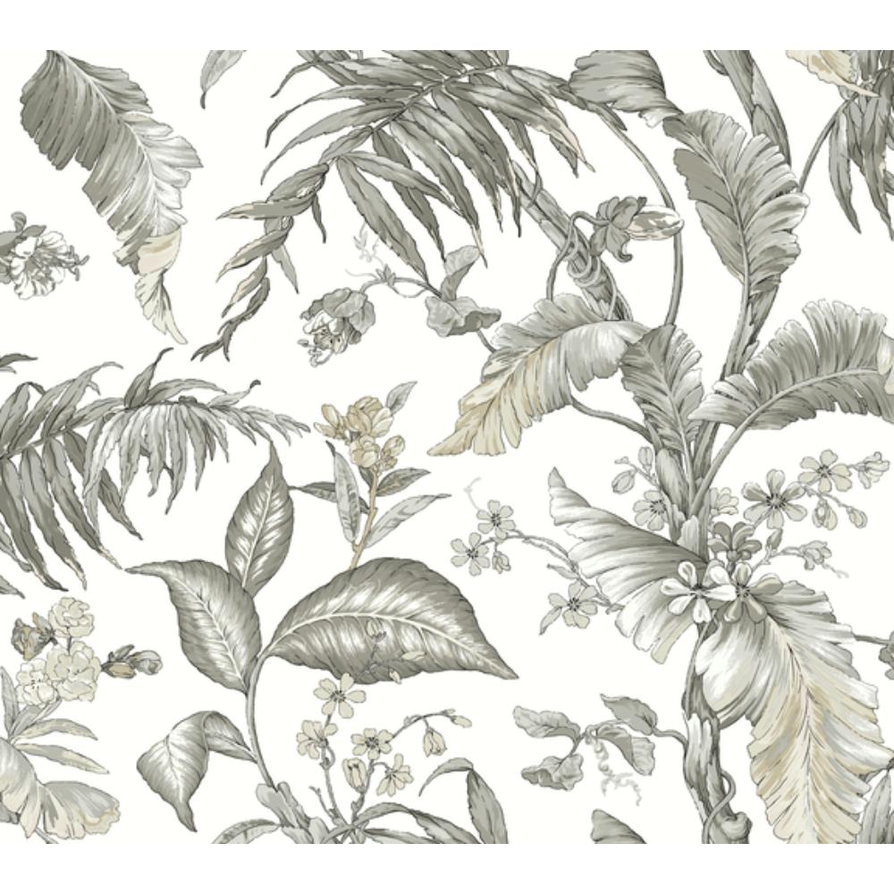 York PSW1371RL Vintage Florals Fiji Garden Wallpaper in Black & White