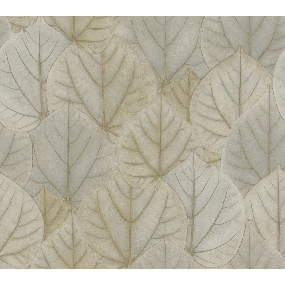York Designer Series PSW1425RL Simply Candice Leaf Concerto Peel & Stick Wallpaper in Warm Taupe