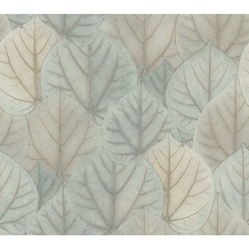 York Designer Series PSW1426RL Simply Candice Leaf Concerto Peel & Stick Wallpaper in Blue & Taupe