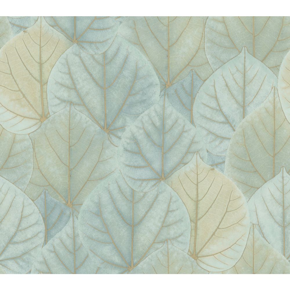 York Designer Series PSW1427RL Simply Candice Leaf Concerto Peel & Stick Wallpaper in Turquoise
