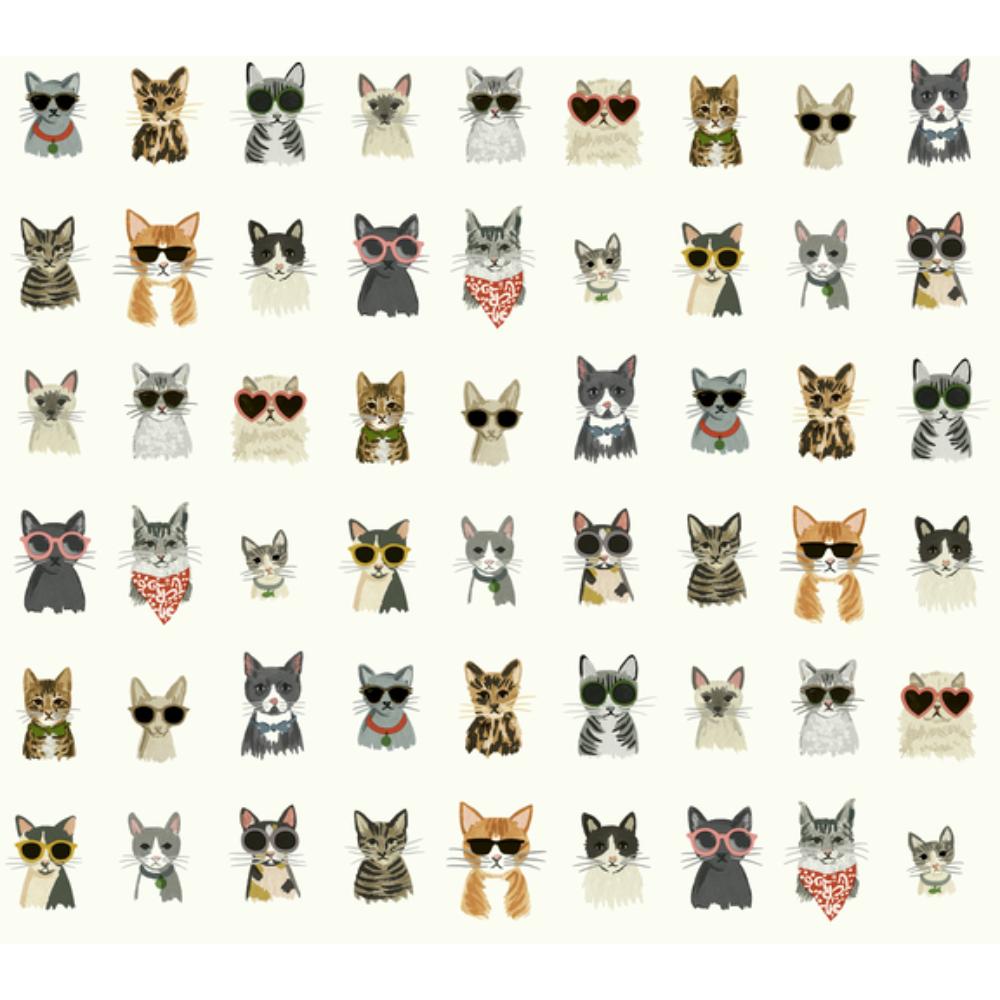 York PSW1463RL P&S Rifle Paper 2 Cool Cats Wallpaper in Multi White