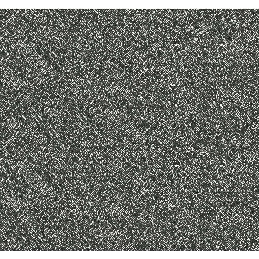 York RI5111 Rifle Paper Co. Champagne Dots Wallpaper in White/Black