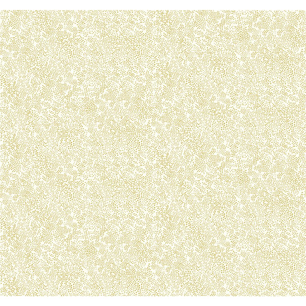York RI5112 Rifle Paper Co. Champagne Dots Wallpaper in Gold/White