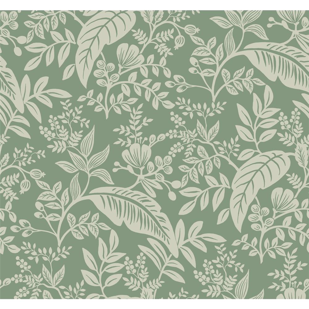 York RI5140 Rifle Paper Co. Canopy Wallpaper in Sage
