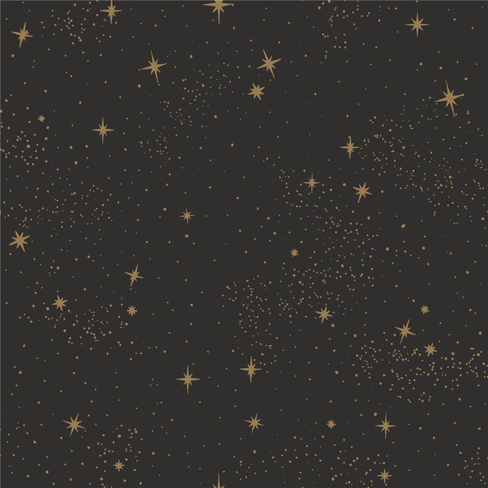 RoomMates by York RMK11318WP Upon A Star Peel & Stick Wallpaper In Black