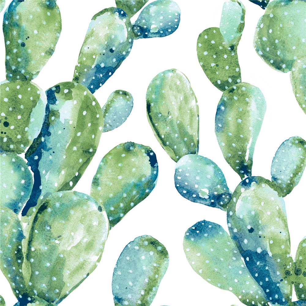 RoomMates by York RMK11351WP Prickly Pear Cactus Peel & Stick Wallpaper Blue