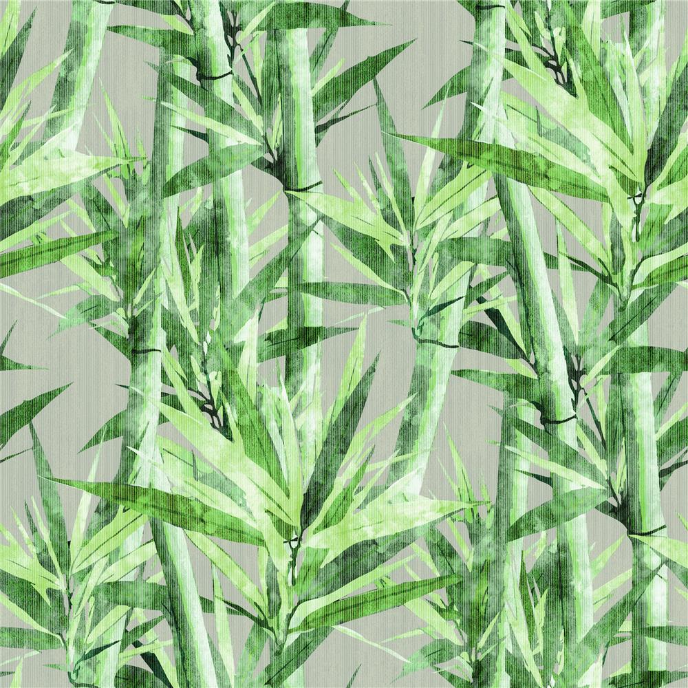 RoomMates by York RMK11367RL Lucky Bamboo Peel & Stick Wallpaper In Beige; Green