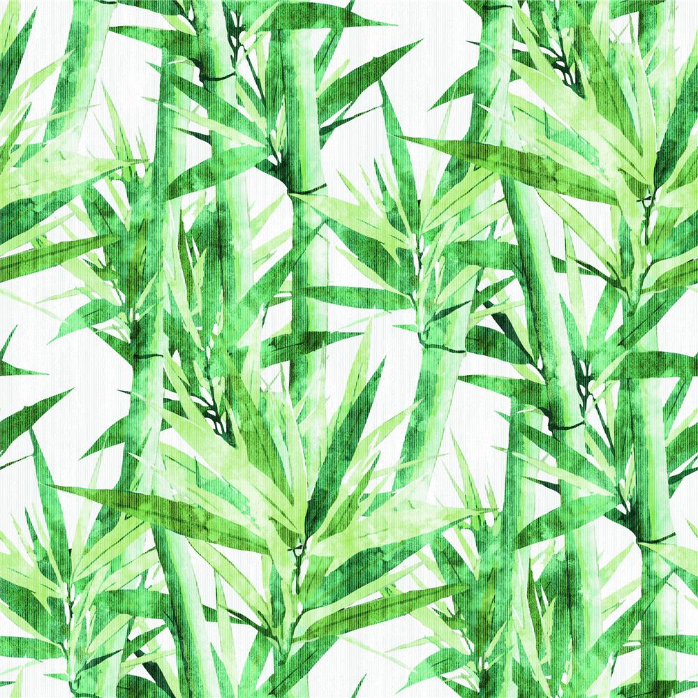 RoomMates by York RMK11369RL Lucky Bamboo Peel & Stick Wallpaper In Green; White
