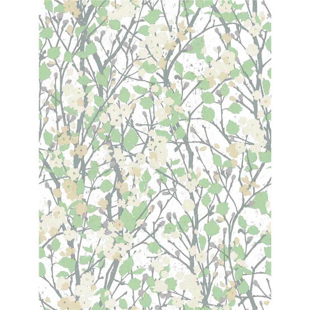 RoomMates by York RMK11422RL Willow Branch Peel & Stick Wallpaper In White; Green; Tan