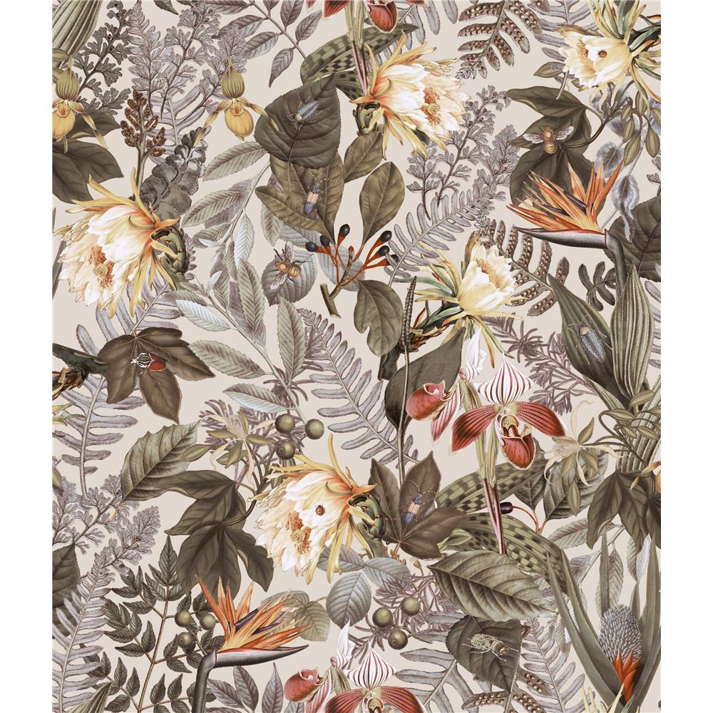 RoomMates by York RMK11470WP Tropical Flowers Peel & Stick Wallpaper In Beige