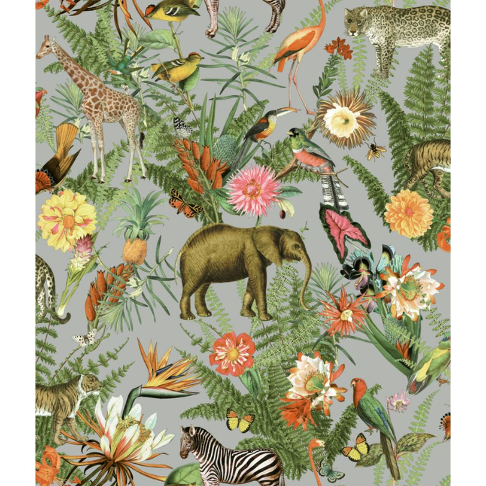 RoomMates by York RMK12203WP RoomMates Tropical Zoo Peel & Stick Wallpaper in Green