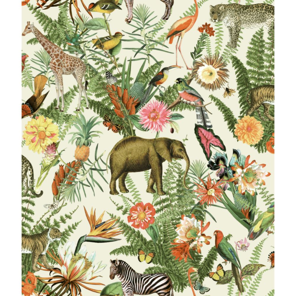 RoomMates by York RMK12239WP RoomMates Tropical Zoo Peel & Stick Wallpaper in Green