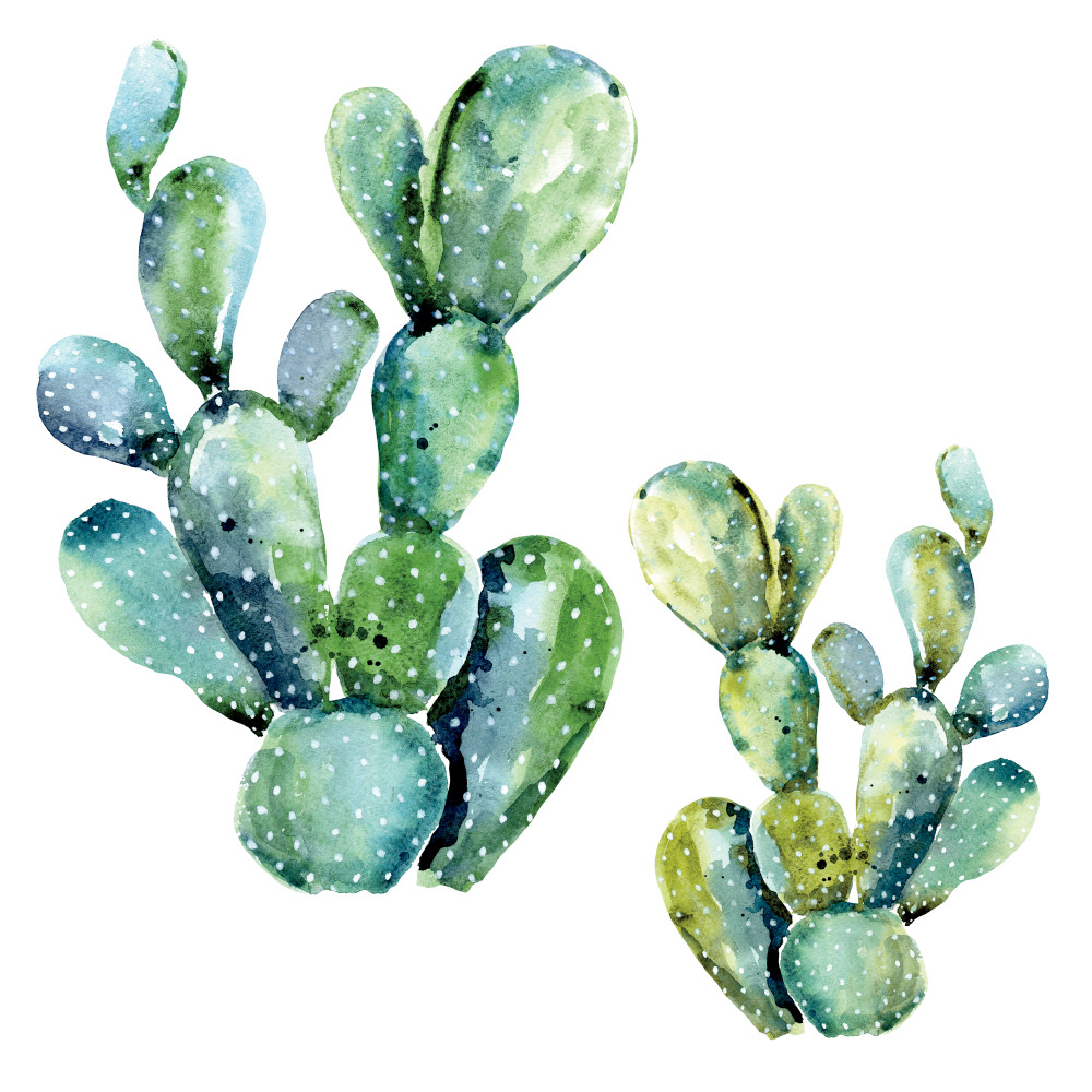 RoomMates by York RMK3651GM Watercolor Cactus Peel And Stick Giant Wall Decals
