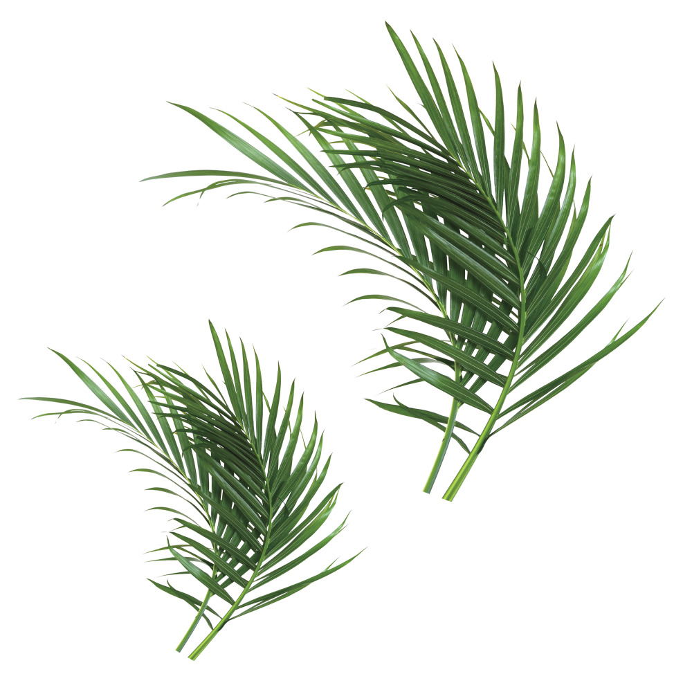 RoomMates by York RMK3861GM Palm Leaf Peel And Stick Giant Wall Decals