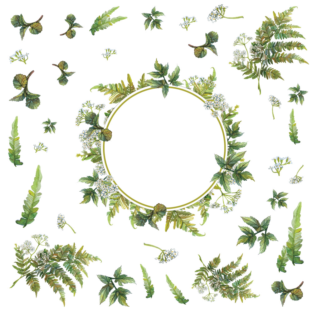 RoomMates by York RMK3895BX Fern Peel & Stick Decals With Circle Mirror In Green