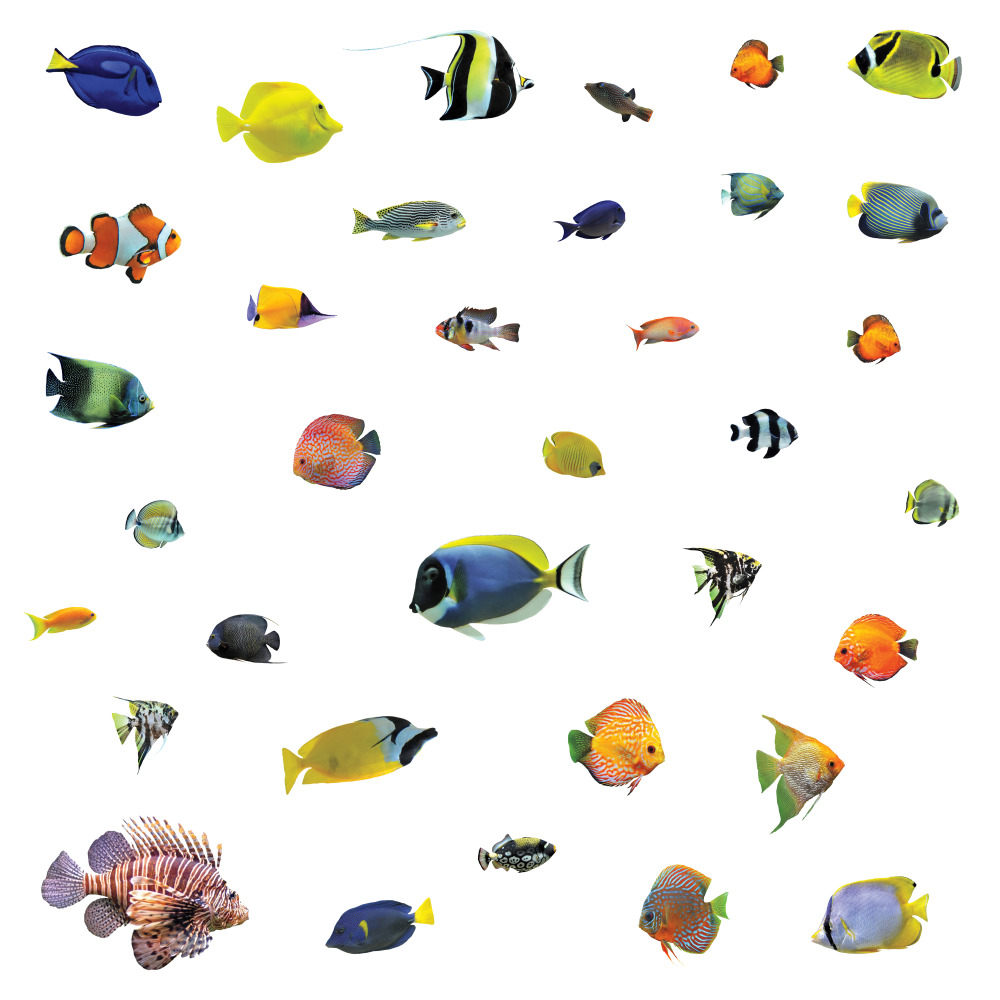 RoomMates by York RMK3899SCS Tropical Fish Peel And Stick Wall Decals