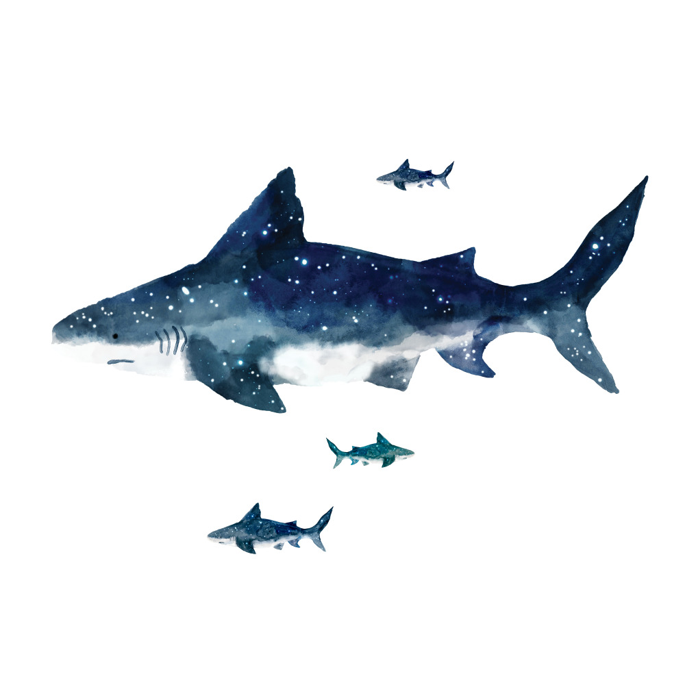 RoomMates by York RMK4014GM Shark Peel And Stick Giant Wall Decals