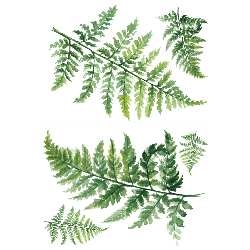 RoomMates by York RMK4559TBM Watercolor Fern Peel And Stick Giant Wall Decals