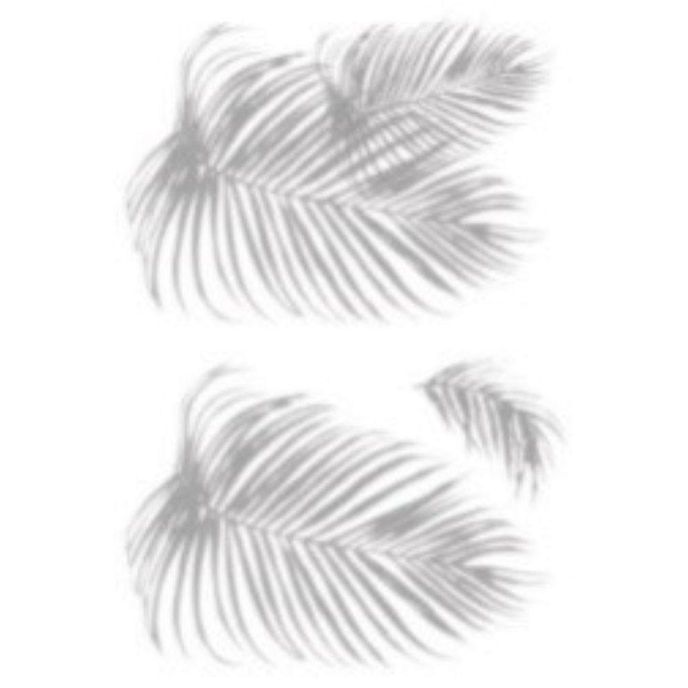 RoomMates by York RMK5063SLM Mr. Kate Tropical Shadow Palm Frond Peel And Stick Wall Decals in Grey