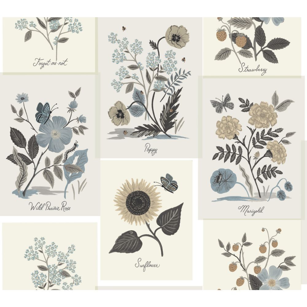 York RP7336 Rifle Paper Co. Second Edition Botanical Prints Wallpaper in Beige, Black