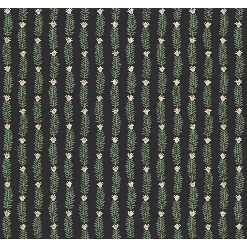 York RP7344 Rifle Paper Co. Second Edition Eden Wallpaper in Black, Green