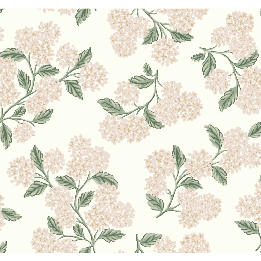 York RP7393 Rifle Paper Co. Second Edition Hydrangea Wallpaper in Beige, Pink